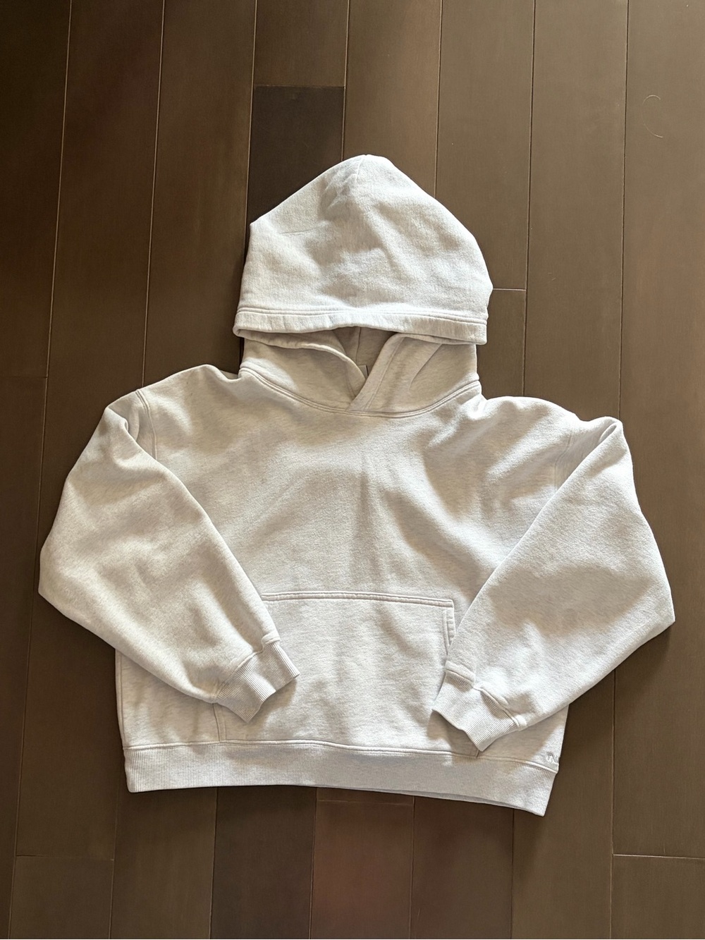 Aritzia TNA Sweatfleece Perfect Hoodie